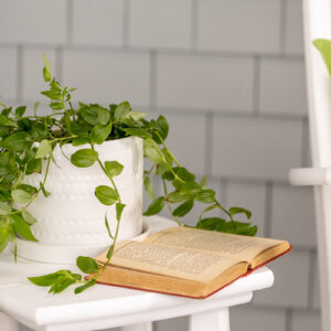 Green plant accent on side table beside white poly porch rocking chair.