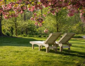 Two SunSurf Lounges under a tree