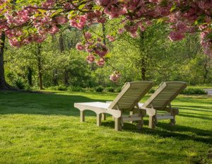 Two SunSurf Lounges under a tree