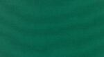 Canvas Forest Green