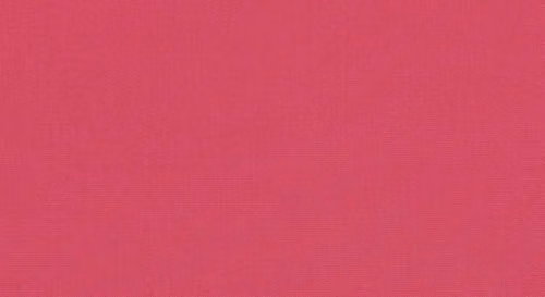 Canvas Hot Pink