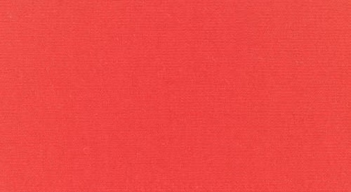 Canvas Logo Red