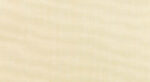 Canvas Vellum