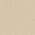 Linen Champagne