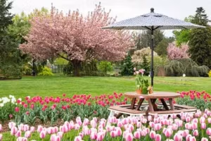 picnic table and umbrella in a garden of tulips