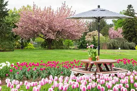 picnic table and umbrella in a garden of tulips