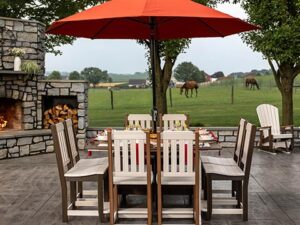 Dining Chairs